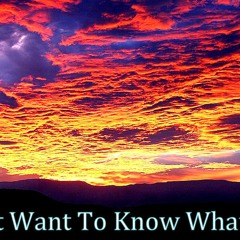 She dont want to know what love is