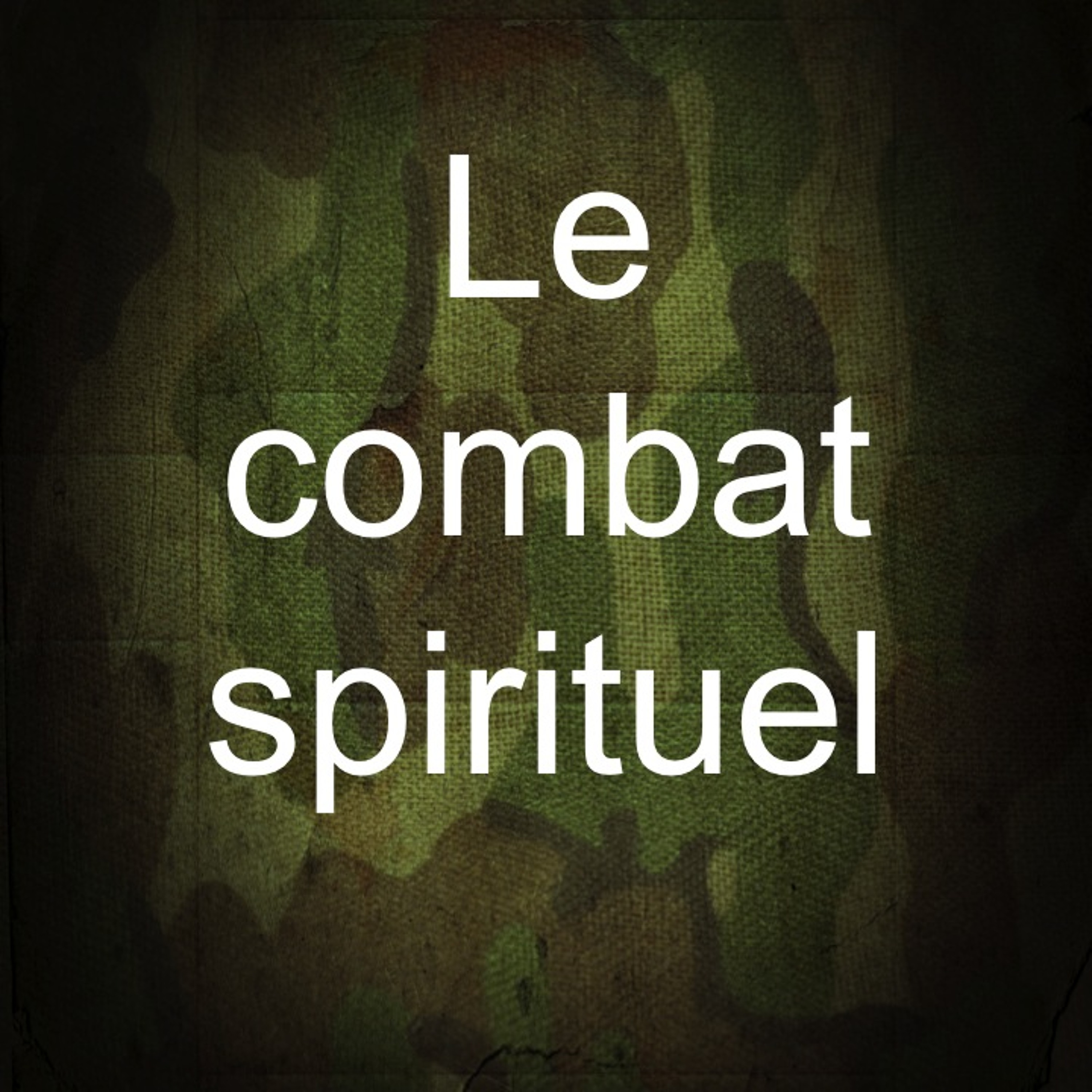 Le combat spirituel # 7 - 14 mai 2014 - Sylvie Théry episode artwork