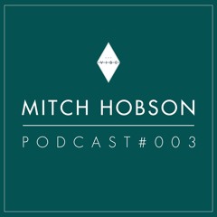 Vibe Podcast #003 - Mitch Hobson