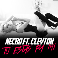 Necro feat Cleyton - Tu Estas Pa Mi (Original Mix PROMO)