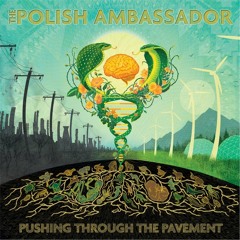 The Polish Ambassador - Rise and Release ft. Raashan Ahmad