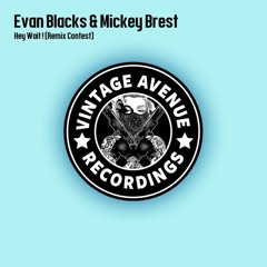 Evan Blacks & Mickey Brest - Hey Wait! ( UK GARAGE REMIX )