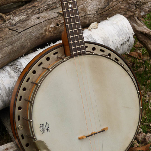Stream 1930s Kay Stromberg Voisinet resonator tenor banjo demo