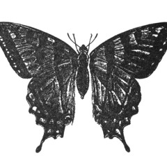 02 CHAOS IS KING MIX 2.1