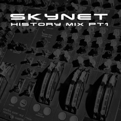 Skynet - History Mix Pt1