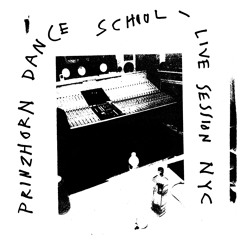 Prinzhorn Dance School Live @ DFA Studios