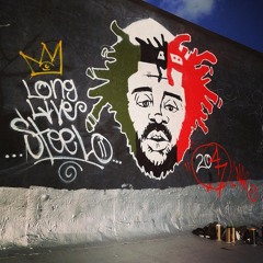 #LongLiveSteelo