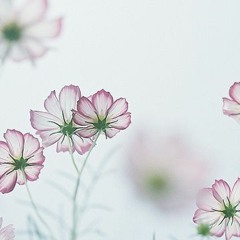قرآن ♥