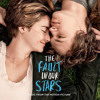 Birdy Not About Angels The Fault In Our Stars Mp3