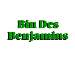 Bin des Benjamins-ZackDaMack & SnoopyDiemondz (N.W.E)