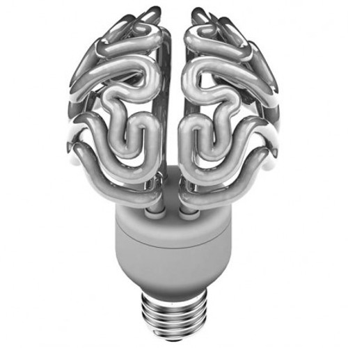 Brains Shaped