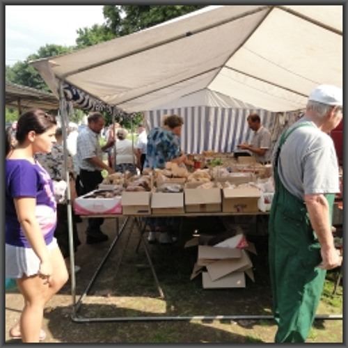 2013-07-05 Kallaste, market