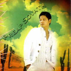 កាកីបេះដូង - ព្រាប សុវត្ថិ