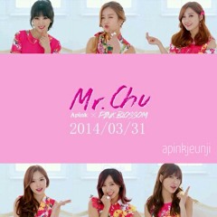 Apink (에이핑크)- Mr. Chu (미스터츄) Short Cover