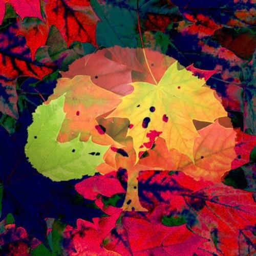 Koral Reef x Rocco Seprino - Springs Almost Over
