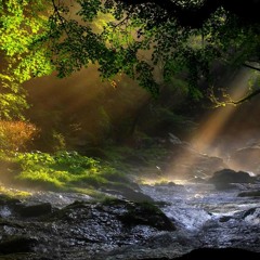 Sat Sauri- "Naturcapella- Follow The Stream"