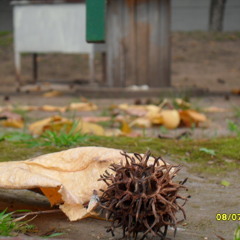 Quedate (de Heler) - Cover - Música cristiana