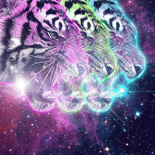 Fear Of Tigers - Ailuropoda Melanoleuca [EXCLUSIVE]
