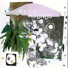 Weed Hounds - Harbor
