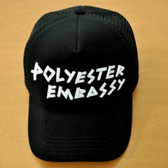 Polyester Embassy - You'll Be Gone