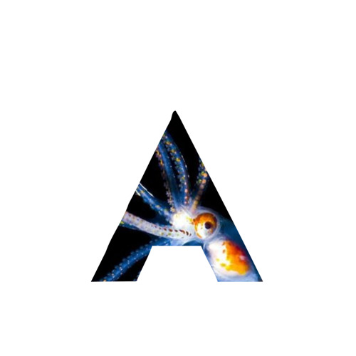 Tape 3 - Side A (SF)