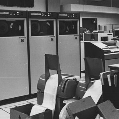 The Belted Kingfisher Spies His Next Meal