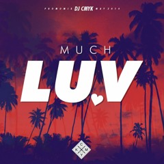 DJ CMYK Much Luv Promomix 2014 - free download
