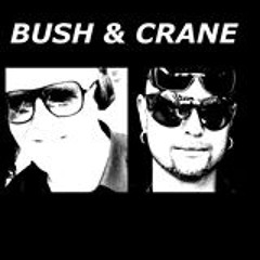 Conchita - Rise like a phoenix (Bush & Crane Remix)