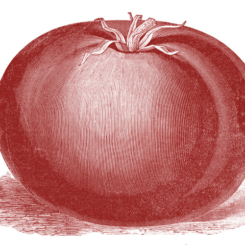 Tangerine (Tomato-bit Remix)