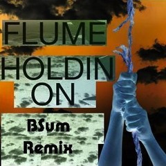 Flume - Holdin' On [BSum Remix]