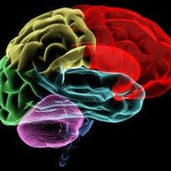 Disorders (Feat. Scrizzie Scrap)