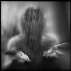 Shadows In The Rain