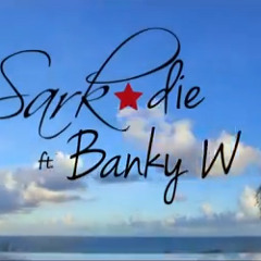 Sarkodie Ft Banky W Pon Di Ting Instrumental
