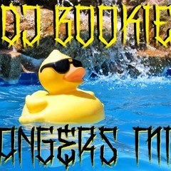 Dj Bookie - BVNGERZ MIX (2014 SUMMER PARTY BANGERS)
