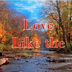 Love Like The Land