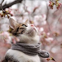 Soundcloud Hear The World S Sounds