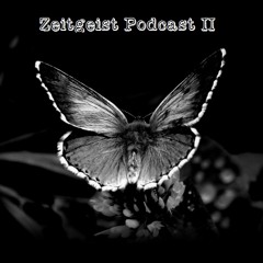 Zeitgeist Podcast 2