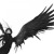 Artwork for Little Wing (Jimi Hendrix Cover)