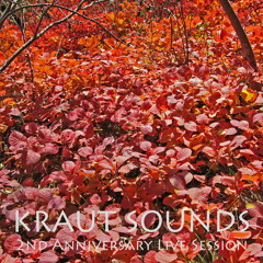 Kraut Sounds - 2nd Anniversary Live Session (free DL)