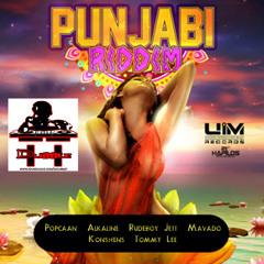 Punjabi Riddim Mix x DJ Dubble T - May 2014