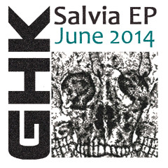 Salvia EP - Minimix Teaser