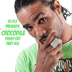 Dj Fly Feat Crocodile - Pussy Cat Part #2