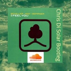 Schiller Feat. Peter Heppner - I Feel You (Chris Di Solar Bootleg)