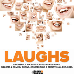 Sound Ex Machina - Large audience laughs (LAUGHS library)