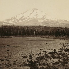 Carleton Watkins: The Stanford Albums