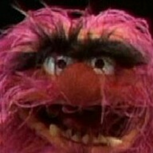 Majistrate_what is it