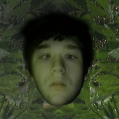 freaking out the neighborhood (mac demarco cover)