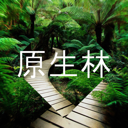 JUNGLE♦原生林