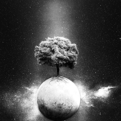 Ellen Allien - My Tree (Ripperton Backlash Remix)