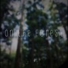On the Forest(demo)